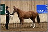 QH061_0096n.jpg(43,1 KB)