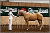 QH061_0098n.jpg(42,7 KB)