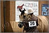 QH061_0099n.jpg(27,9 KB)