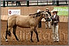 QH061_0100n.jpg(43,2 KB)