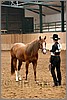 QH061_0104n.jpg(39,5 KB)