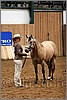 QH061_0108n.jpg(40,7 KB)