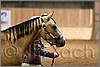 QH061_0111n.jpg(28,9 KB)