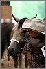 QH061_0115n.jpg(25,6 KB)