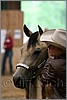 QH061_0116n.jpg(24,8 KB)