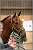 QH061_0117n.jpg(29,2 KB)