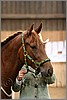 QH061_0118n.jpg(29,4 KB)