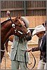 QH061_0119n.jpg(33,2 KB)