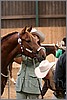 QH061_0120n.jpg(31,3 KB)