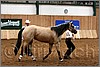 QH061_0121n.jpg(36,7 KB)