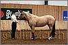 QH061_0126n.jpg(40,8 KB)