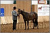 QH061_0127n.jpg(41,8 KB)