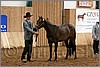 QH061_0128n.jpg(41,8 KB)