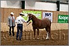 QH061_0129n.jpg(40,4 KB)