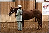QH061_0131n.jpg(40,0 KB)