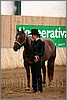 QH061_0132n.jpg(34,9 KB)