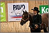 QH061_0134n.jpg(31,5 KB)
