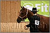QH061_0135n.jpg(28,4 KB)