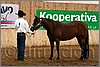 QH061_0136n.jpg(42,7 KB)