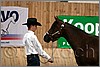 QH061_0137n.jpg(31,1 KB)