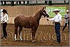 QH061_0138n.jpg(40,6 KB)