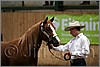 QH061_0139n.jpg(29,4 KB)