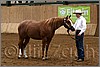 QH061_0140n.jpg(38,9 KB)