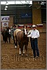 QH061_0141n.jpg(37,5 KB)