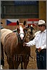 QH061_0142n.jpg(28,3 KB)