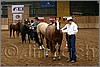 QH061_0144n.jpg(41,0 KB)