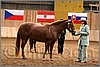 QH061_0145n.jpg(40,9 KB)