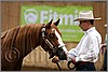 QH061_0146n.jpg(31,4 KB)