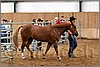 QH061_0150n.jpg(38,7 KB)