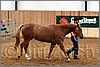 QH061_0151n.jpg(36,0 KB)