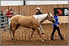 QH061_0152n.jpg(38,1 KB)