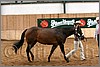 QH061_0153n.jpg(35,2 KB)