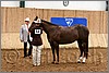 QH061_0155n.jpg(40,7 KB)