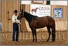 QH061_0156n.jpg(42,9 KB)