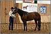 QH061_0157n.jpg(42,5 KB)