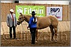 QH061_0160n.jpg(41,7 KB)