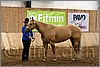 QH061_0161n.jpg(40,2 KB)