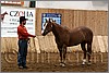 QH061_0162n.jpg(41,6 KB)