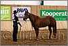 QH061_0163n.jpg(40,0 KB)