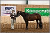 QH061_0164n.jpg(42,2 KB)