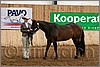 QH061_0165n.jpg(43,4 KB)