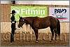QH061_0166n.jpg(40,6 KB)