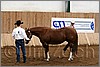 QH061_0167n.jpg(38,1 KB)