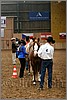 QH061_0172n.jpg(38,2 KB)