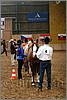 QH061_0173n.jpg(38,3 KB)
