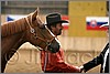 QH061_0180n.jpg(29,1 KB)